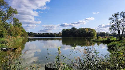Rezerwat przyrody Stawy Raszyńskie
